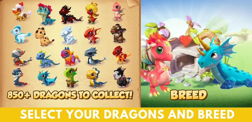 choose dragons and breed